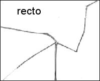 recto