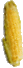 abricot
